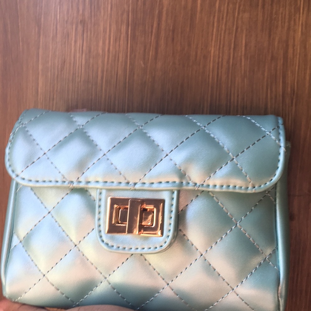 New Purse ! - Picture 3 of 3